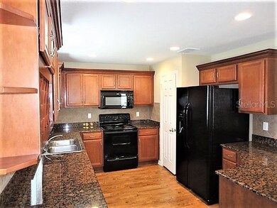 9647 Maxson Dr, Land O Lakes, FL 34638 - photo 7