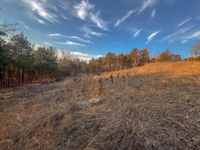 000 Lakebreeze Cir, Theodosia, MO 65761 - photo 7