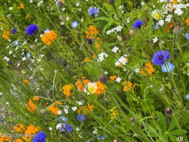 L8 B7 Cedar Hills Dr, Palmer, AK 99645 - photo 2