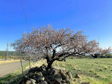 18145 Surface Creek Rd, Cedaredge, CO 81413 - photo 7