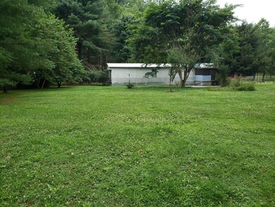 CRBackyard1