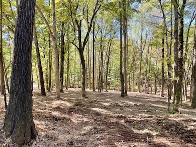 0 Harper Rd unit RTC2945401, Clarksville, TN 37043 - photo 5