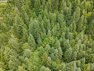 0 Sharps Creek Rd, Dorena, OR 97434 - photo 6