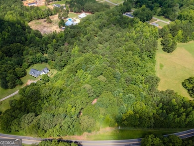 1304 Broadnax Mill Rd, Loganville, GA 30052 - photo 6