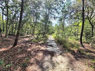 229 Arkansas St, Satsuma, FL 32189 - photo 2