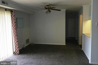 207 Erin Way unit 101, Reisterstown, MD 21136 - photo 5