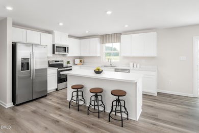 291 Gianna Dr, Angier, NC 27501 - photo 3