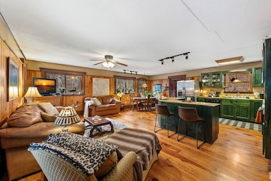 208 Bullen Gap Rd, Blue Ridge, GA 30513 - photo 3