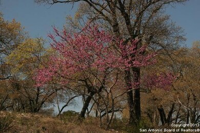 21654 Cielo Ridge Dr, San Antonio, TX 78256 - photo 2
