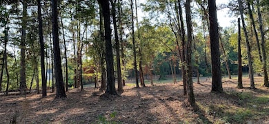 0 Koepp Rd, Madisonville, LA 70447 - photo 7