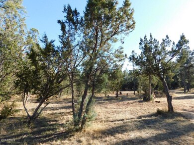 Roundup Rd (4)