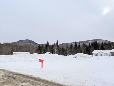 31.5 Ac Cheney Rd, Lowell, VT 05847 - photo 7