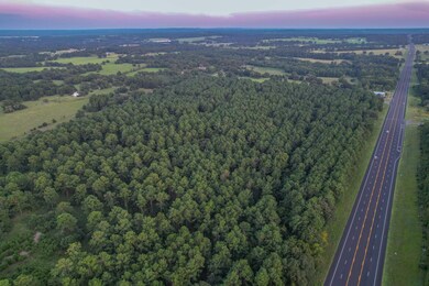 0 E S Sh 155, Frankston, TX 75763 - photo 5