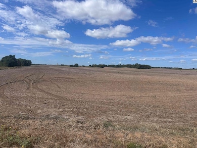 110301 NE 90th St, Preston, KS 67124 - photo 3