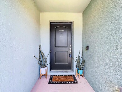 14306 Haddon Mist Dr, Wimauma, FL 33598 - photo 2