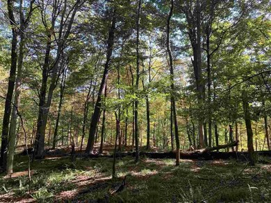 516 Swartekill Rd, New Paltz, NY 12561 - photo 6