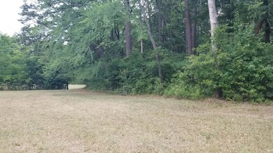 0 Cox Rd, Evans, GA 30809 - photo 4