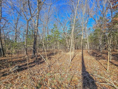 000 County Road 292a, Pittsburg, MO 65724 - photo 5