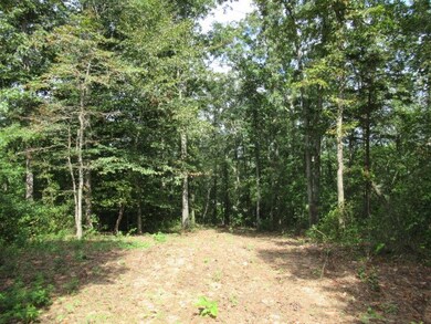 101 Winding Road - Lot 1a & 1b & Lot 2, Bowdon, GA 30108 - photo 4