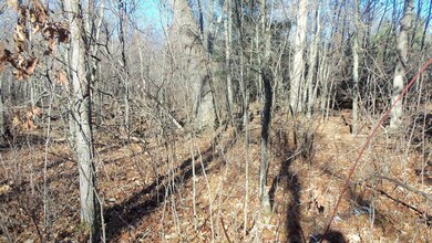 Lot 2 Ferry Rd, Grantsburg Township, WI 54840 - photo 5