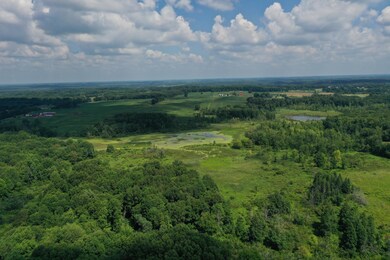DJI_0838