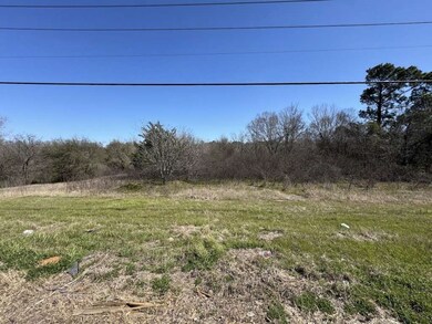 0 Highway 31 W, Tyler, TX 75709 - photo 6