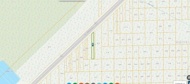 0 Turkey Roost Rd, Deland, FL 32724 - photo 3