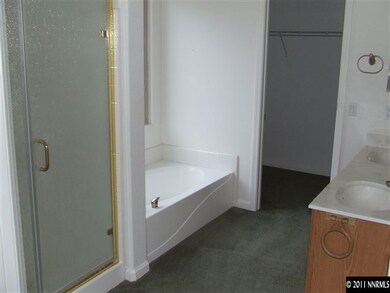 117 Southend Dr, Dayton, NV 89403 - photo 5