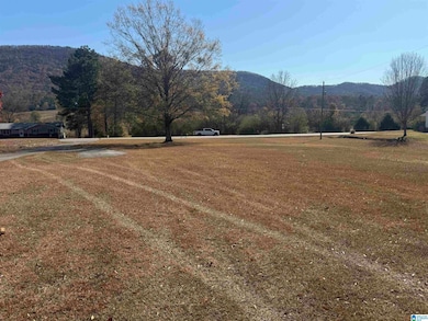 16067 Highway 9, Piedmont, AL 36272 - photo 4