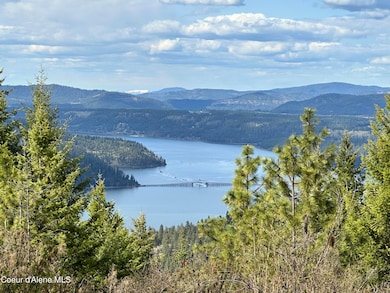 NKA 10 Acres, Plummer, ID 83851 - photo 3