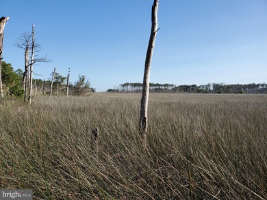1914 E Tedious Creek Rd, Toddville, MD 21672 - photo 5