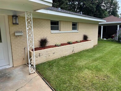 New flower bed