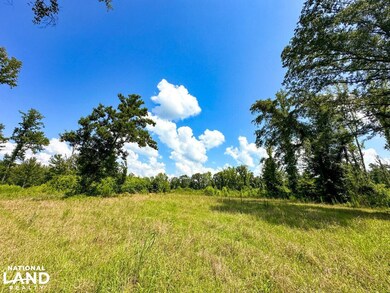 0 Peach Orchard Rd, Brent, AL 35034 - photo 7