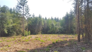 114 Iris Ln, Winlock, WA 98596 - photo 7