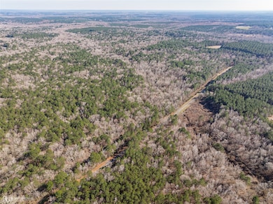 889 Fuller Cemetery E-2 Rd, Minden, LA 71055 - photo 3