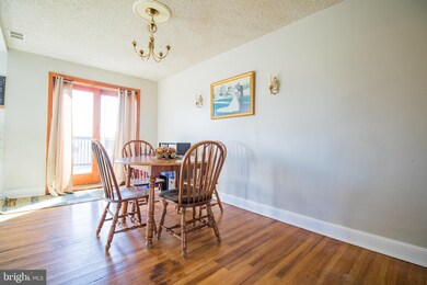 800 Rively Ave, Glenolden, PA 19036 - photo 7