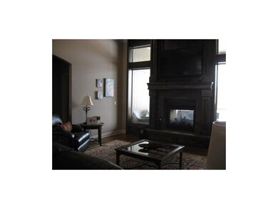 See thru gas fireplace