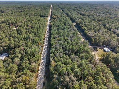 View of property location with a forest