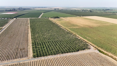 787 W Sutter Island Cross Rd, Courtland, CA 95615 - photo 7