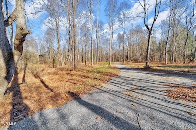Tbd McInturff Springs Rd, Erwin, TN 37650 - photo 6