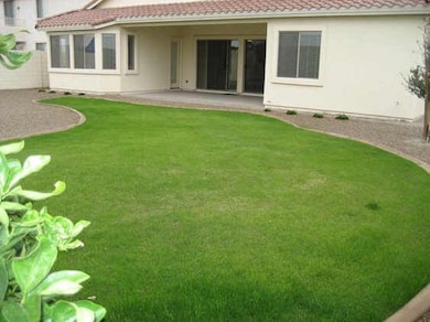 Backyard