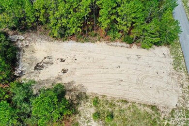 12828 SW 86th Cir, Ocala, FL 34473 - photo 5