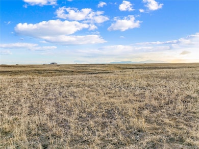 7950 N Peyton Hwy, Peyton, CO 80831 - photo 5