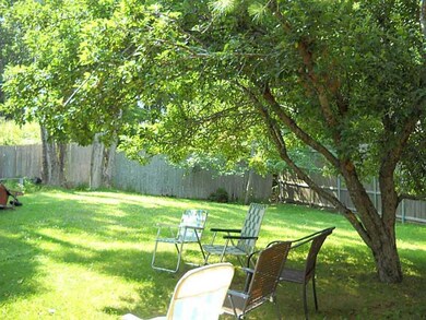 Yard/Garden.