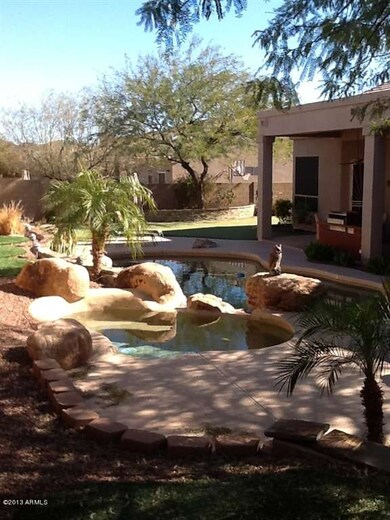 jim backyard