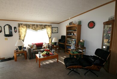 3536 18th St, Wayland, MI 49348 - photo 4