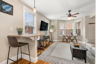 19-21 Norfolk St unit 1, Roxbury, MA 02119 - photo 6