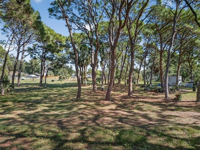 2001 62nd Ave S, St. Petersburg, FL 33712 - photo 6