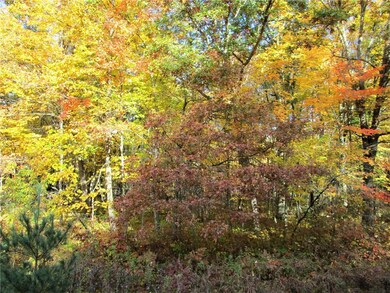 Lot 17 103rd St, Bone Lake, WI 54837 - photo 7