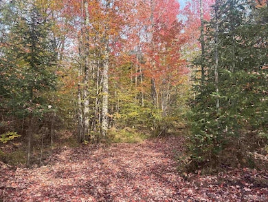 TBD Norlund Rd, Ironwood, MI 49938 - photo 5